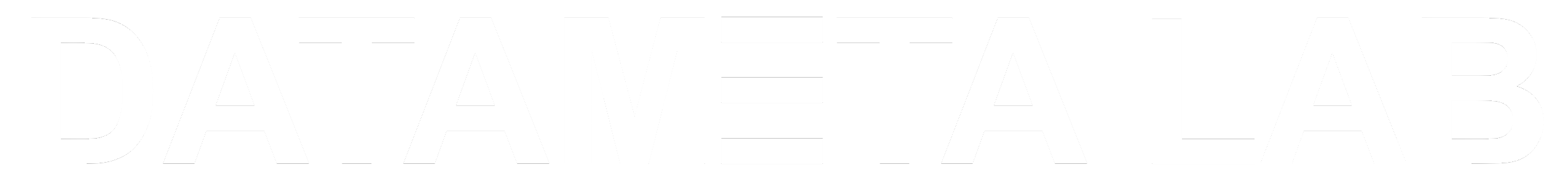 DataMetaLab Logo